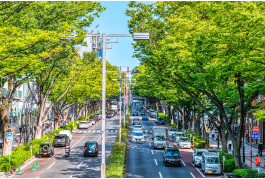 手軽に車を処分できる社会